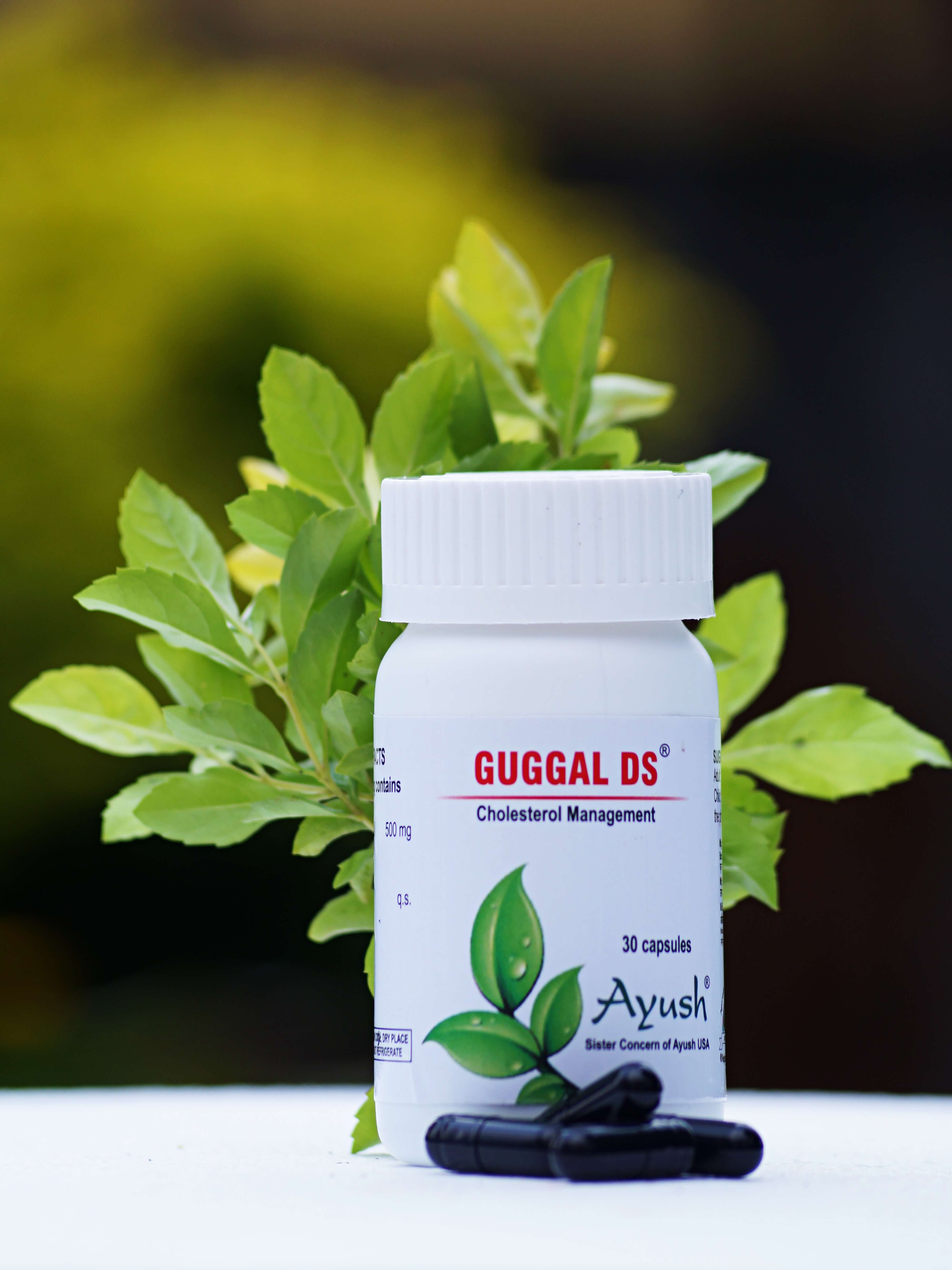Ayush Herbs Guggal Ds Capsules - Cholesterol Support