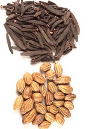 Ayush Herbs Gurmar (capsule) - Diabetes Support