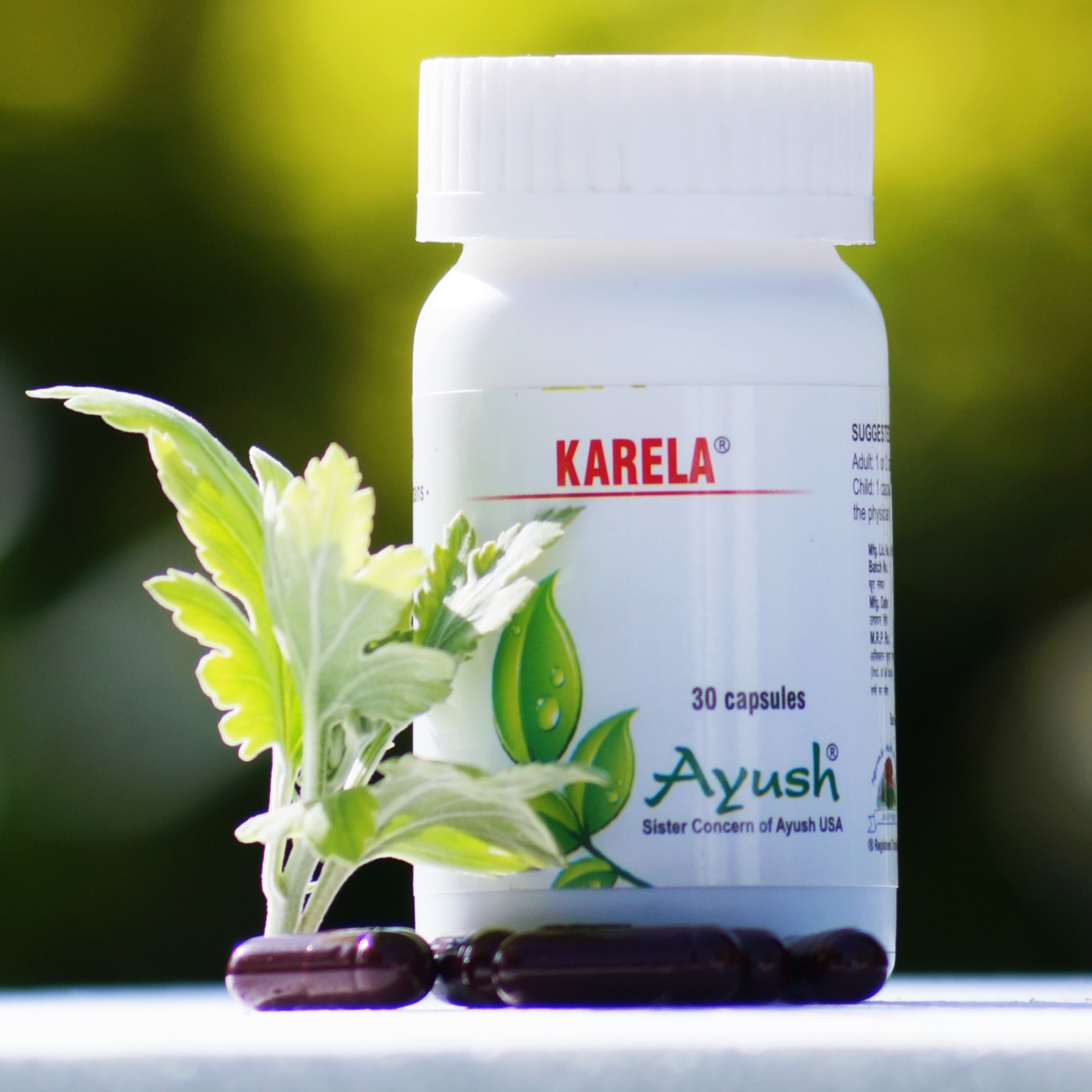 Ayush Herbs Karela Capsules Diabetes Support