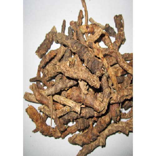 Ayush Herbs Kutki Capsules