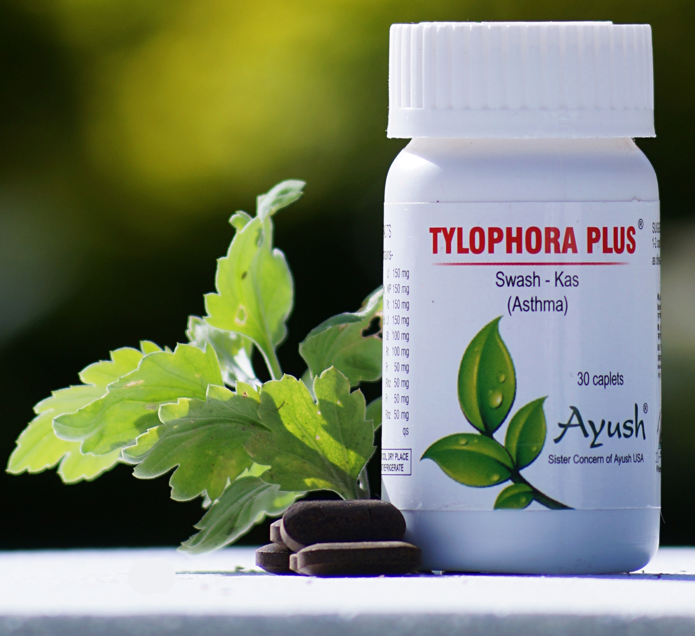Ayush Herbs Tylophora Plus - Respiratory Support