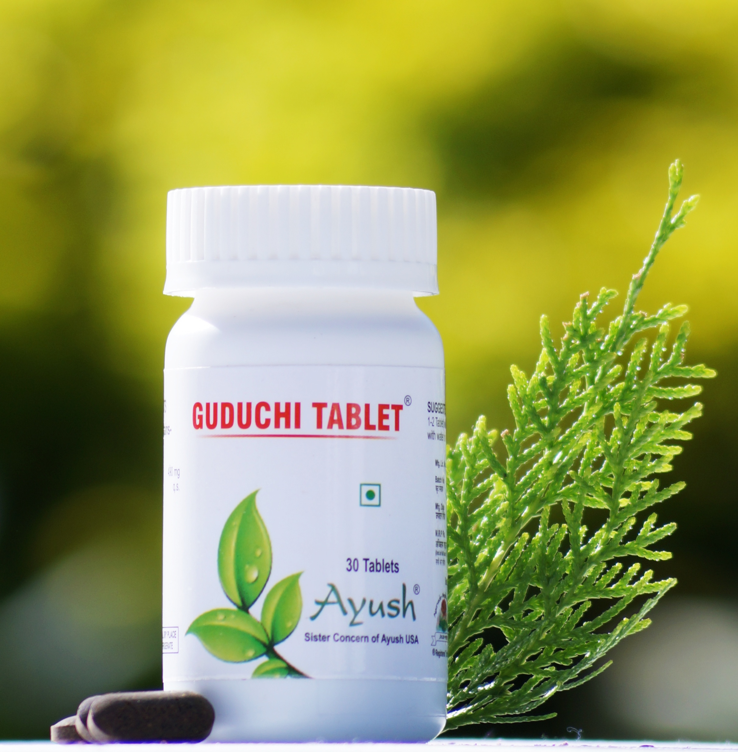 Ayush Herbs Guduchi (giloy)