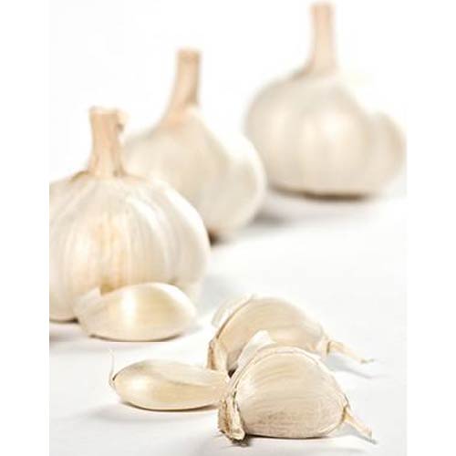 Ayush Herbs Lipo (lasun) Capsules - Herbal Cholesterol Remedy