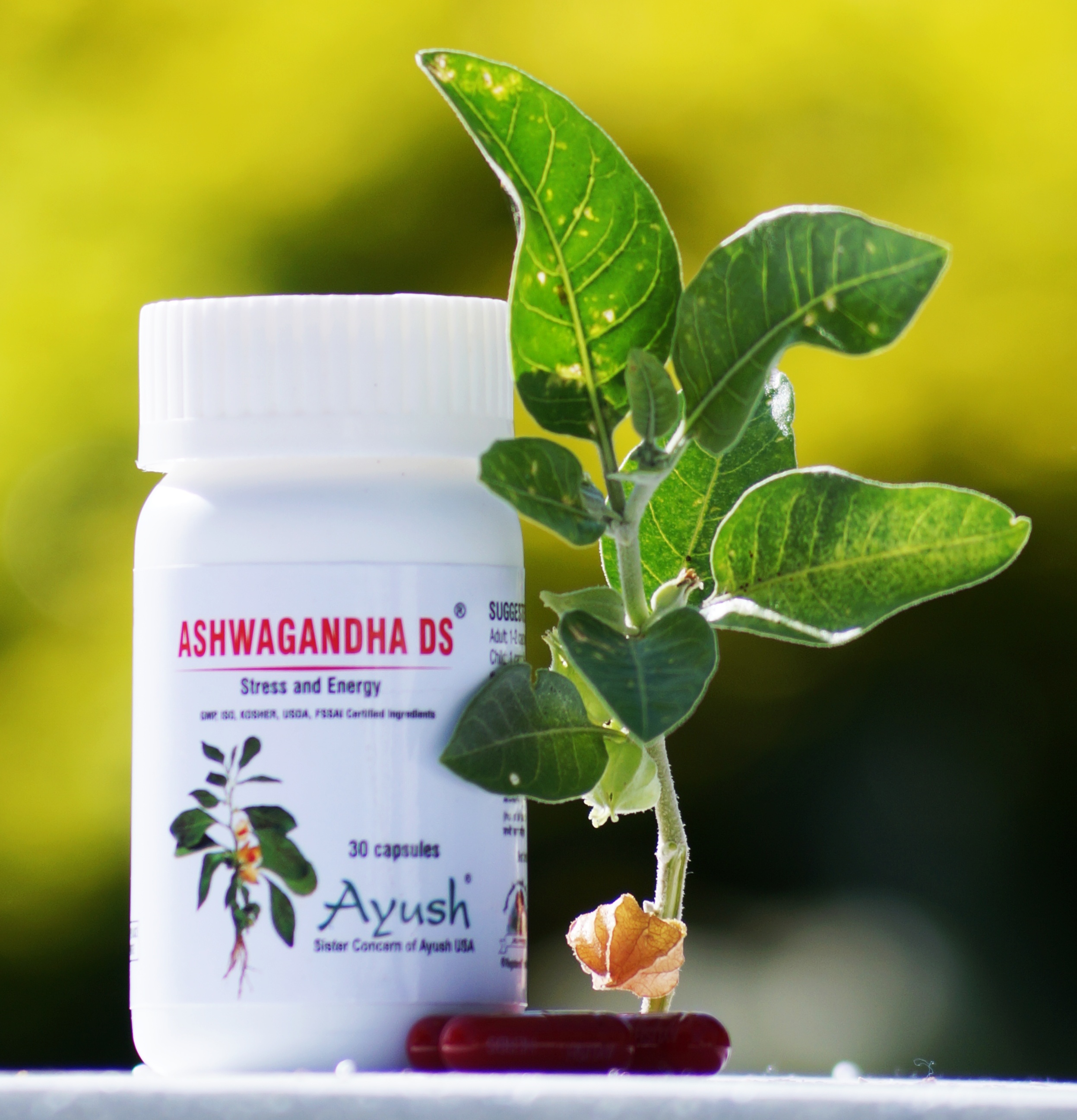 Ayush Herbs Ayush Ashwagandha Ds Capsules