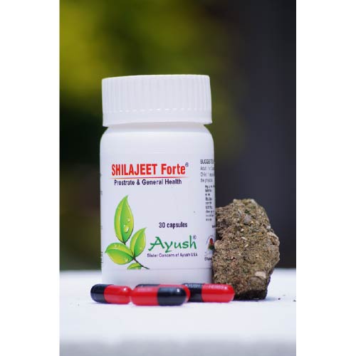 Ayush Herbs Shilajeet Forte - General Health Tonic