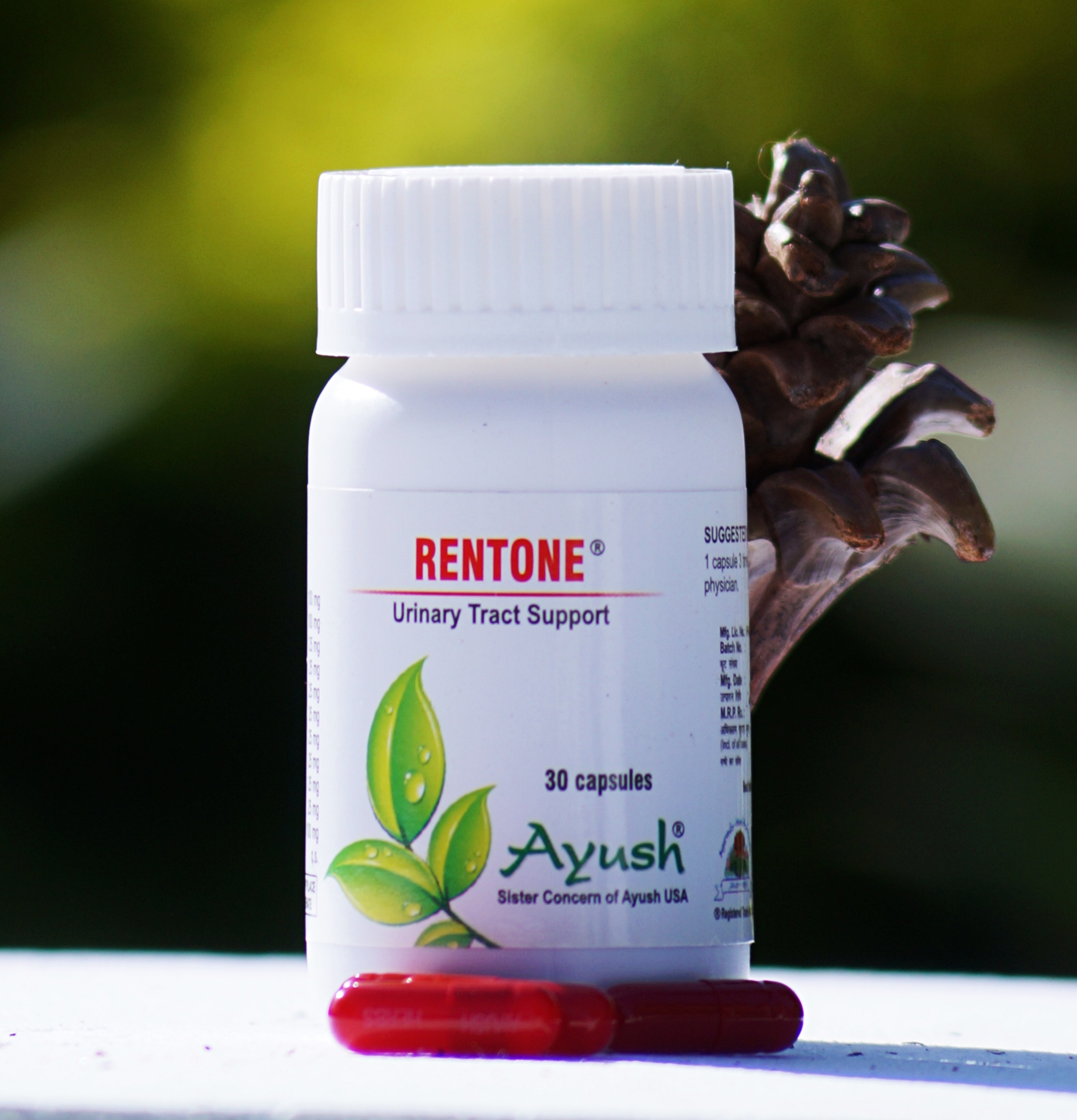 Ayush Herbs Rentone - Kidney Stone Remedy