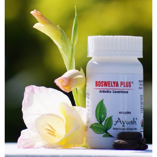 Ayush Herbs Boswelya Plus - Arthritis Support