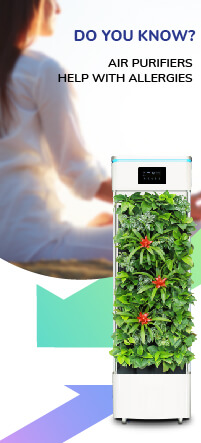 Air Purifier banner
